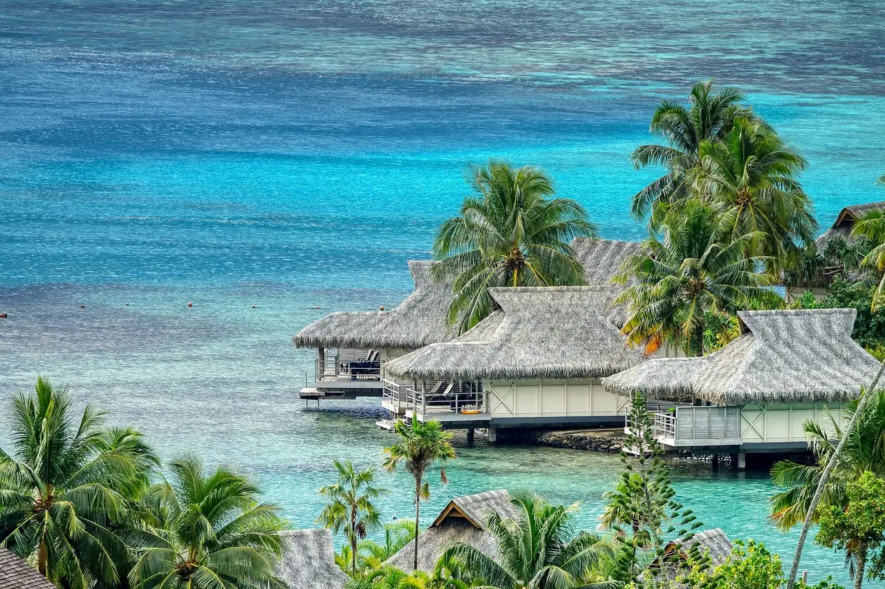 huts, sea, moorea, palm trees, lagoon, beach, resort, water, cottages, travel destination, ocean, nature, french polynesia, moorea, moorea, moorea, french polynesia, french polynesia, french polynesia, french polynesia, french polynesia